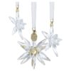 Annual Edition 3D Ornament Set 2025 Annual Edition 3D Ornament Set 2025