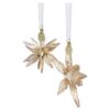 Annual Edition Festive 3D Ornament Set 2025 Annual Edition Festive 3D Ornament Set 2025