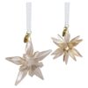 Annual Edition Festive 3D Ornament Set 2025 Annual Edition Festive 3D Ornament Set 2025