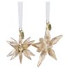 Annual Edition Festive 3D Ornament Set 2025 Annual Edition Festive 3D Ornament Set 2025