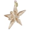 Annual Edition Festive Ornament 2025 Annual Edition Festive Ornament 2025