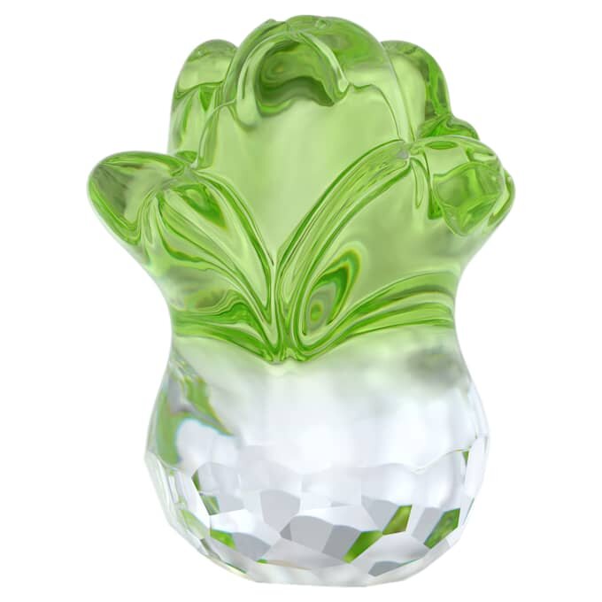 Asian Symbols Fortune Cabbage Asian Symbols Fortune Cabbage