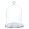 Bell Jar Display Small Bell Jar Display Small