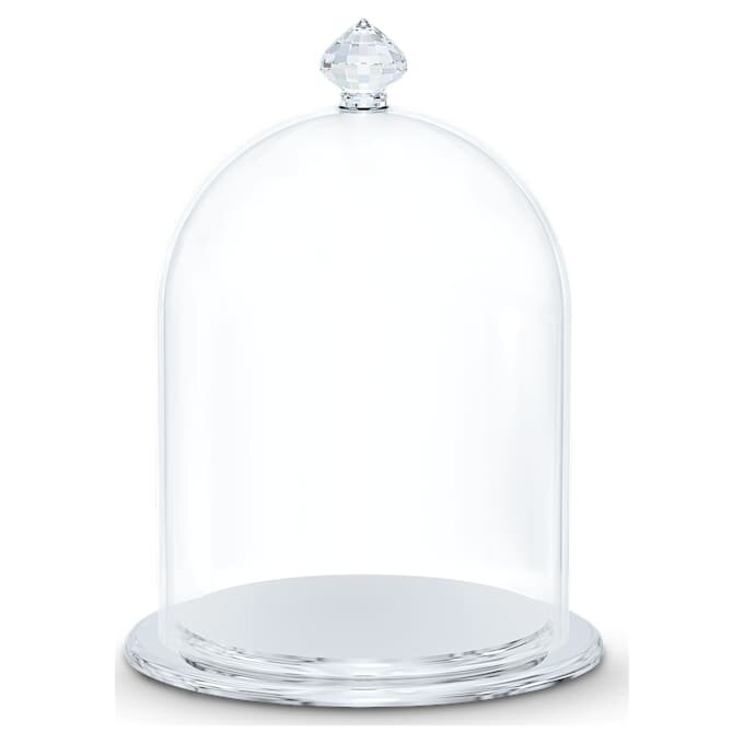 Bell Jar Display Small Bell Jar Display Small