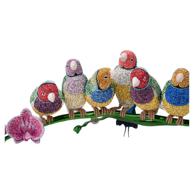 Crystal Myriad Gouldian Finches Crystal Myriad Gouldian Finches
