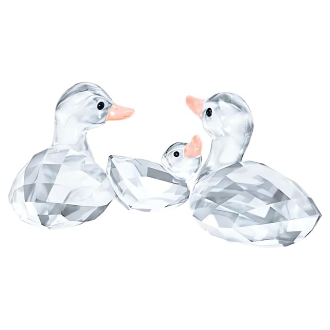 Ducks Ducks