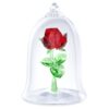 Enchanted Rose Enchanted Rose