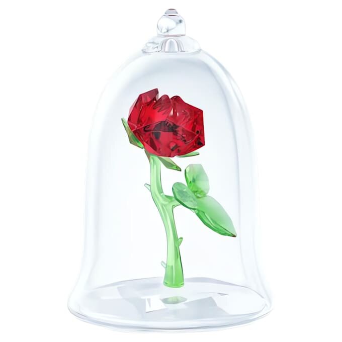 Enchanted Rose Enchanted Rose