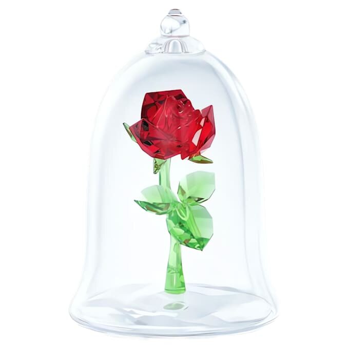 Enchanted Rose Enchanted Rose
