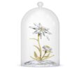 Florere 130Th Anniversary Bell Jar