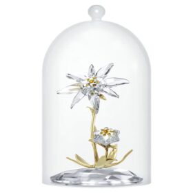 Florere 130Th Anniversary Bell Jar