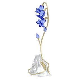 Florere Blue Bellflower