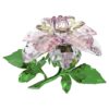 Florere Camellia Florere Camellia