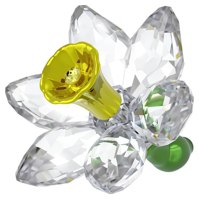 Florere Daffodil Florere Daffodil