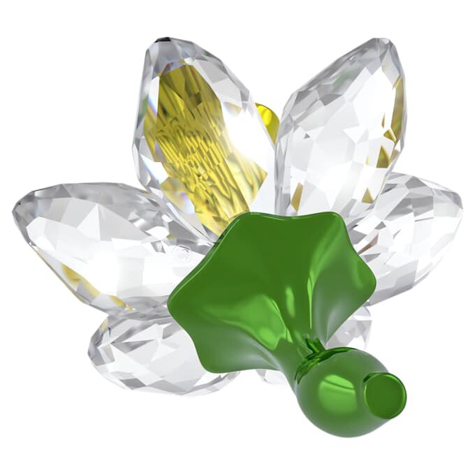 Florere Daffodil Florere Daffodil