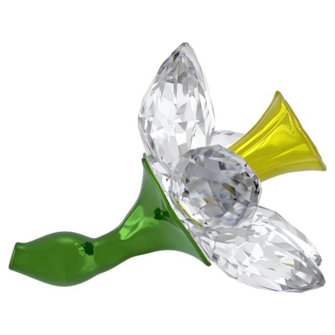 Florere Daffodil Florere Daffodil