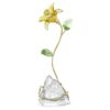 Florere Lily Florere Lily