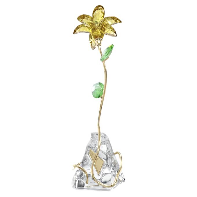 Florere Lily Florere Lily