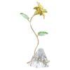 Florere Lily Florere Lily