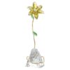 Florere Lily Florere Lily
