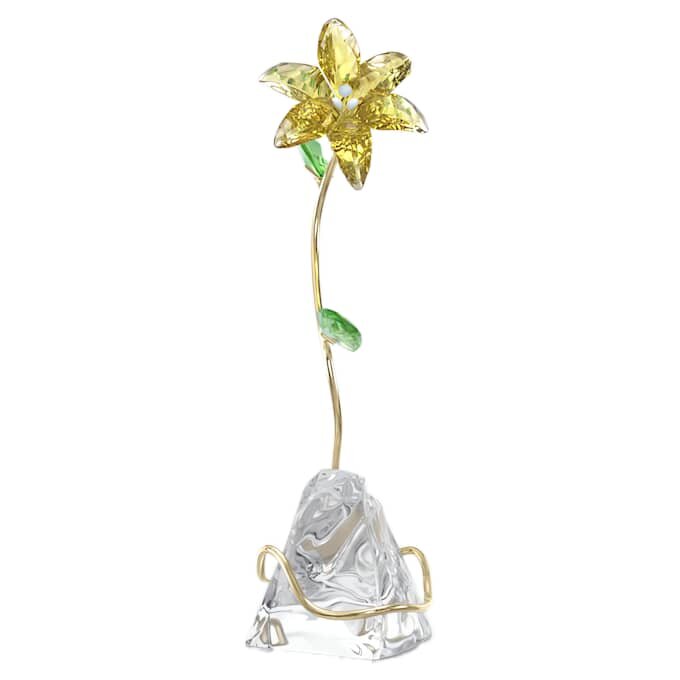 Florere Lily Florere Lily