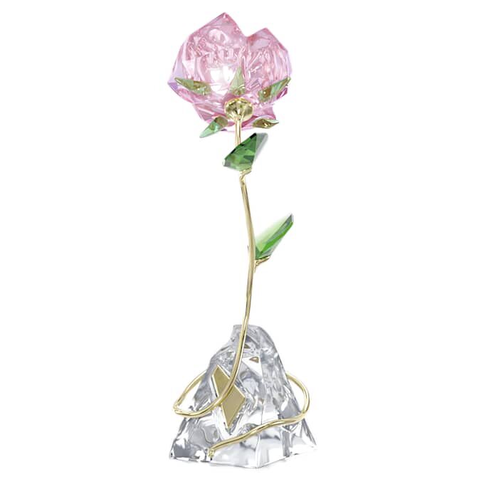 Florere Rose Florere Rose