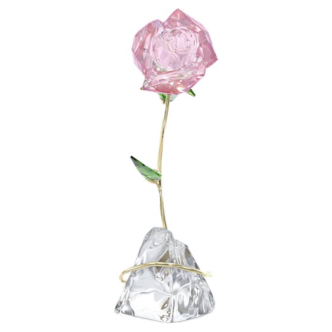 Florere Rose Florere Rose