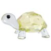 Idyllia Baby Tortoise