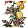 Idyllia Birds and Butterflies Bell Jar Idyllia Birds and Butterflies Bell Jar