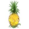 Idyllia Pineapple Idyllia Pineapple