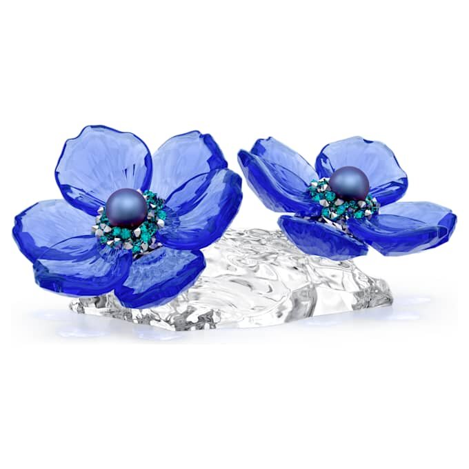 Idyllia Scs Anemone Coronaria Flower Idyllia Scs Anemone Coronaria Flower