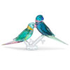 Jungle Beats Parakeet Couple Fife & Fifer Jungle Beats Parakeet Couple Fife & Fifer