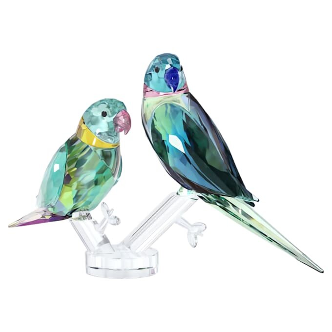Jungle Beats Parakeet Couple Fife & Fifer Jungle Beats Parakeet Couple Fife & Fifer