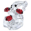 Kris Bear Good Luck Bear Kris Bear Good Luck Bear