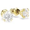 Stilla Stud Earrings Round Cut, White, Gold-Tone Plated