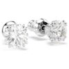 Stilla Stud Earrings Round Cut, White, Rhodium Plated