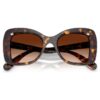 Sunglasses Butterfly Shape, Sk6062U, Brown Sunglasses Butterfly Shape, Sk6062U, Brown