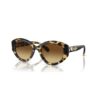 Sunglasses Cat-Eye Shape, Sk6008, Brown Sunglasses Cat-Eye Shape, Sk6008, Brown