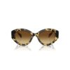 Sunglasses Cat-Eye Shape, Sk6008, Brown Sunglasses Cat-Eye Shape, Sk6008, Brown