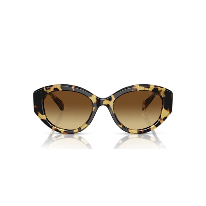 Sunglasses Cat-Eye Shape, Sk6008, Brown Sunglasses Cat-Eye Shape, Sk6008, Brown