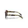 Sunglasses Cat-Eye Shape, Sk6008, Brown Sunglasses Cat-Eye Shape, Sk6008, Brown
