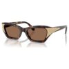 Sunglasses Cat-Eye Shape, Sk6029, Brown Sunglasses Cat-Eye Shape, Sk6029, Brown