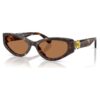 Sunglasses Cat-Eye Shape, Sk6045, Brown Sunglasses Cat-Eye Shape, Sk6045, Brown