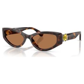 Sunglasses Cat-Eye Shape, Sk6045, Brown
