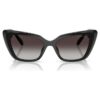 Sunglasses Cat-Eye Shape, Sk6047, Black Sunglasses Cat-Eye Shape, Sk6047, Black