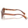 Sunglasses Cat-Eye Shape, Sk6061U, Brown Sunglasses Cat-Eye Shape, Sk6061U, Brown