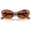 Sunglasses Cat-Eye Shape, Sk6061U, Brown Sunglasses Cat-Eye Shape, Sk6061U, Brown