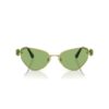 Sunglasses Cat-Eye Shape, Sk7003, Green Sunglasses Cat-Eye Shape, Sk7003, Green