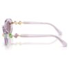 Sunglasses Oval Shape, Pink Sunglasses Oval Shape, Pink