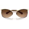 Sunglasses Oval Shape, Sk7018, Brown Sunglasses Oval Shape, Sk7018, Brown